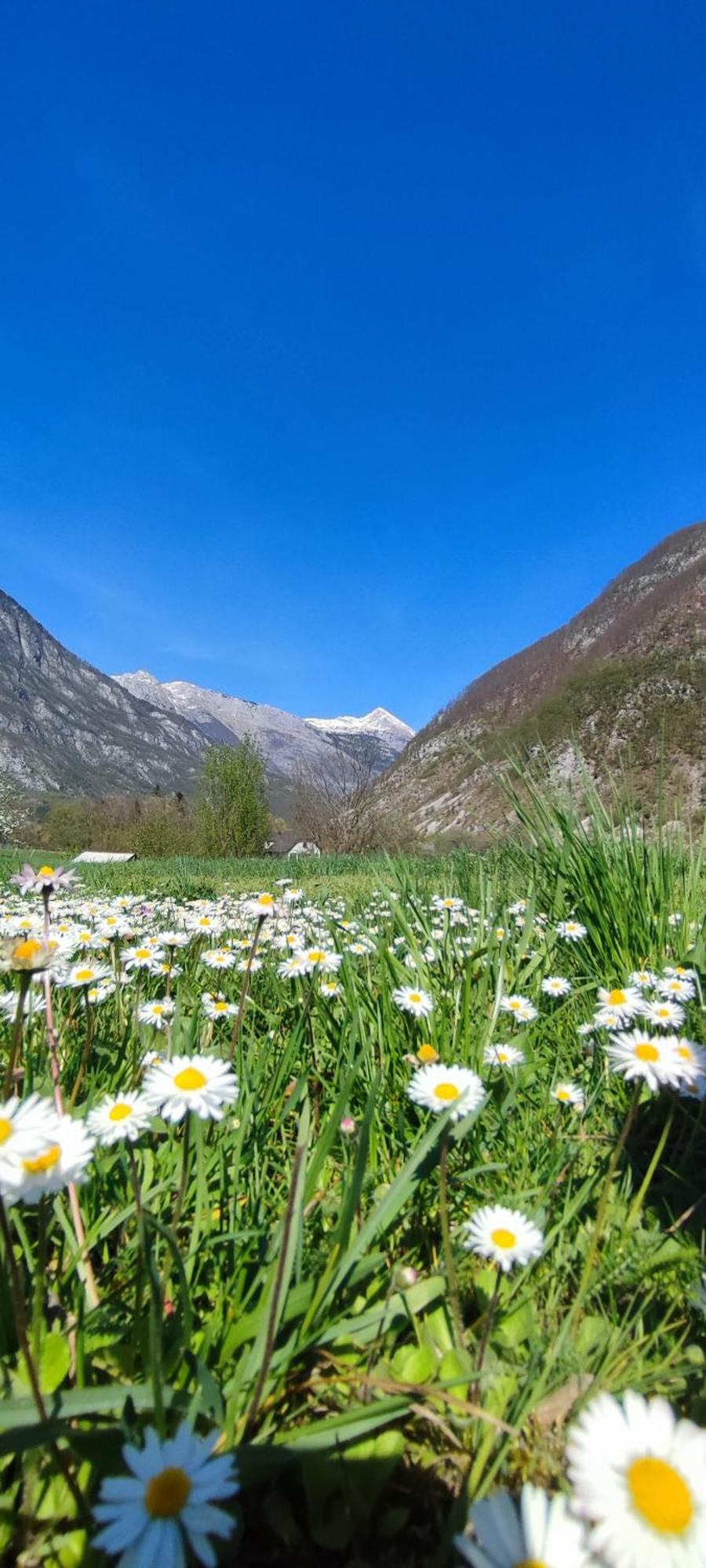 Apartma Soca Oasis Srpenica Exteriér fotografie
