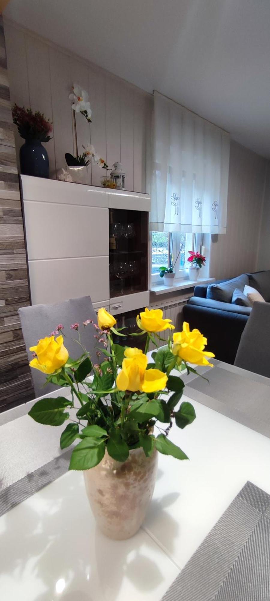 Apartma Soca Oasis Srpenica Exteriér fotografie